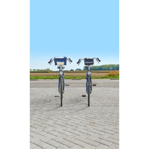 Polyester fietskoeltas Prisha zwart